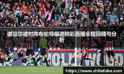 谢菲尔德对阵布伦特福德精彩直播全程回顾与分析